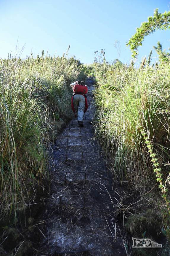 Com a ajuda de grampos de ferro fincados na rocha, subindo o Elevador, com inclinações próximas de 70 graus, no 2o dia de travessia no Parque Nacional da Serra dos Órgãos, no Rio de Janeiro